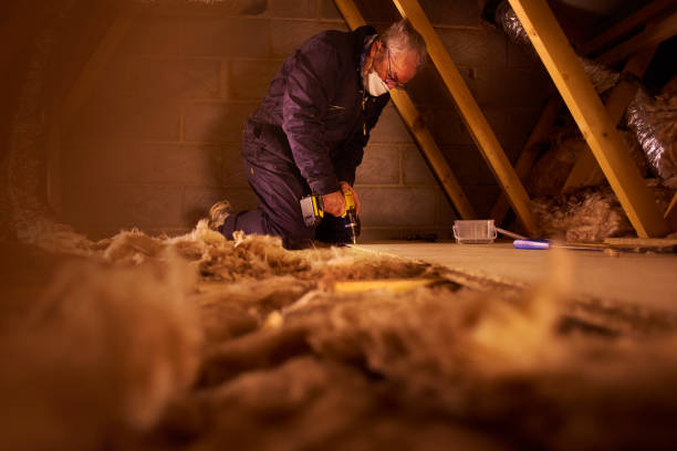 Best Specialty Insulation in Saucier, MS